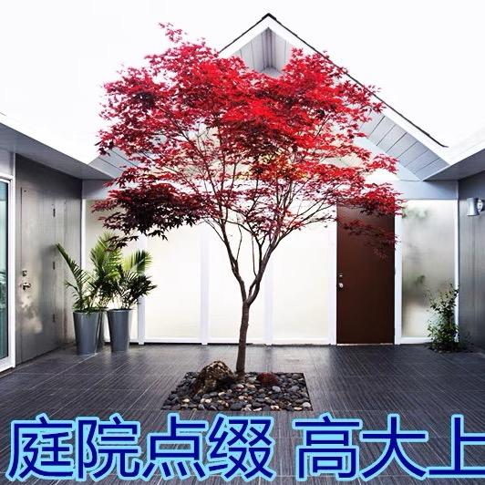 茹意花仿