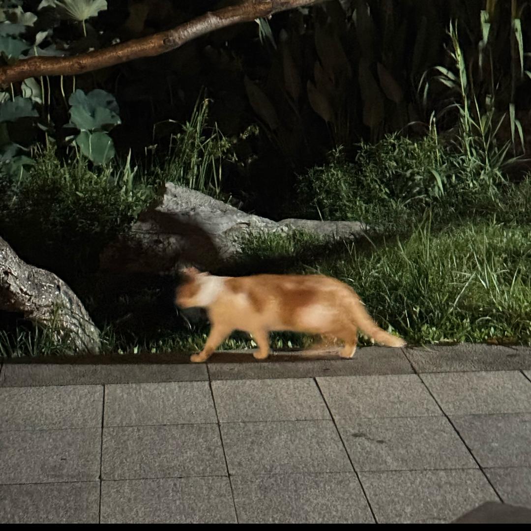 地球生活指南
