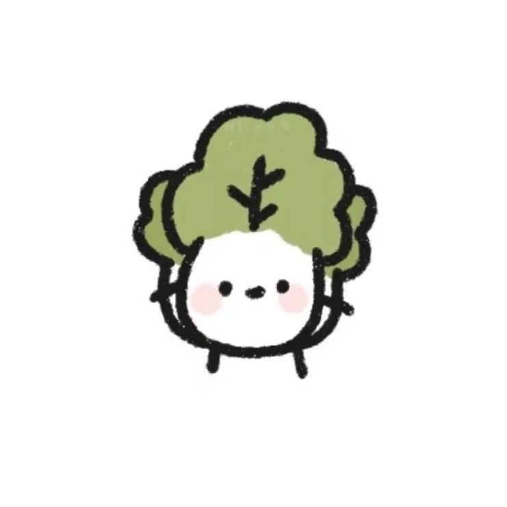 小白菜🥬