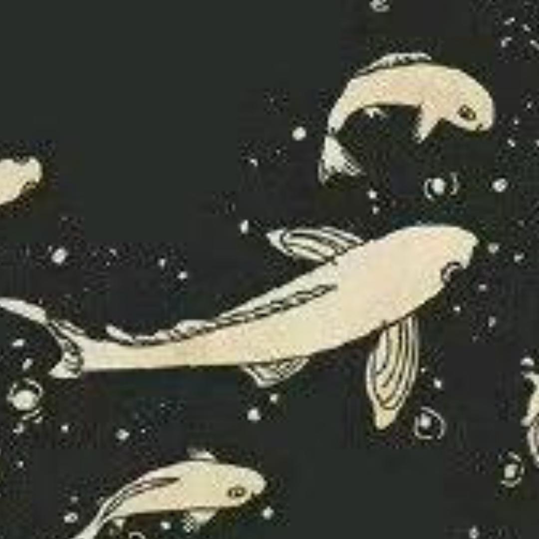 、清晨时见雾(dw Private)