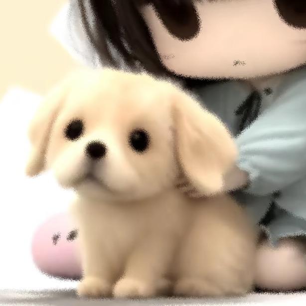 阿y的绝对值