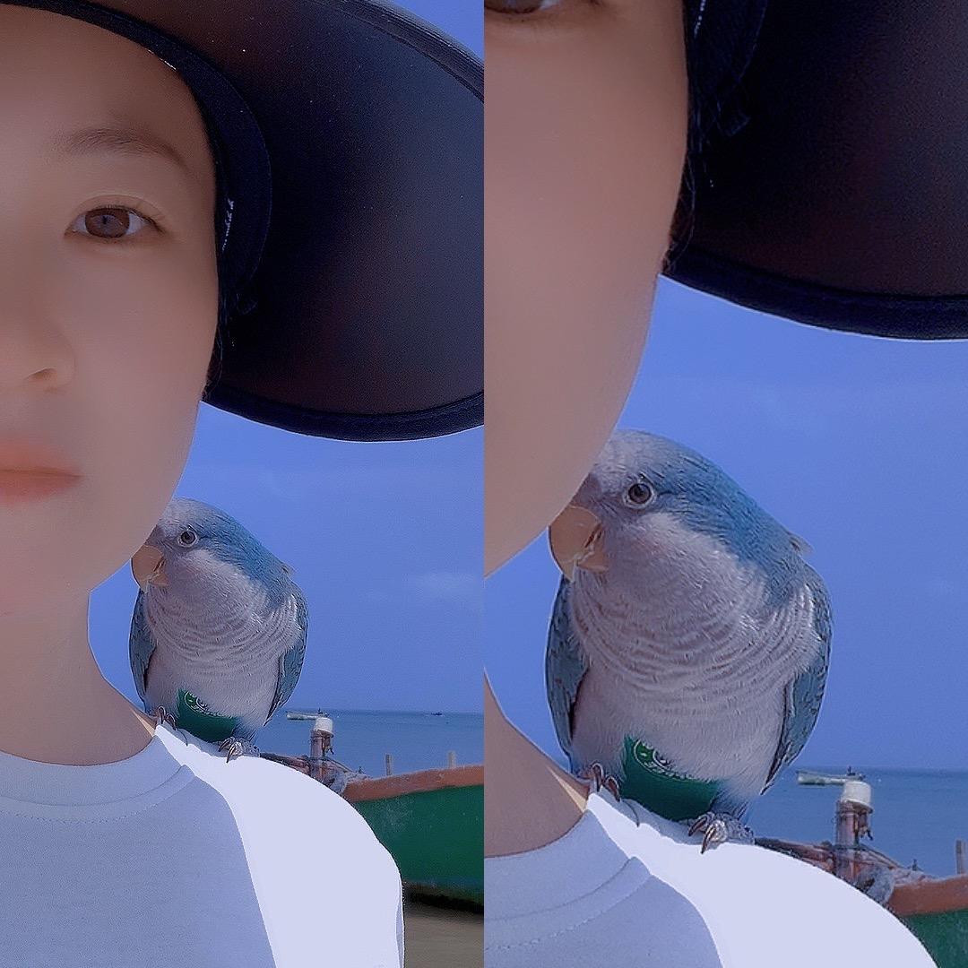 @鹦姐和鸟