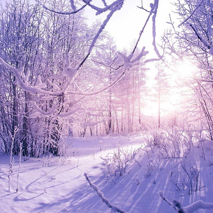 💕好运降林💕