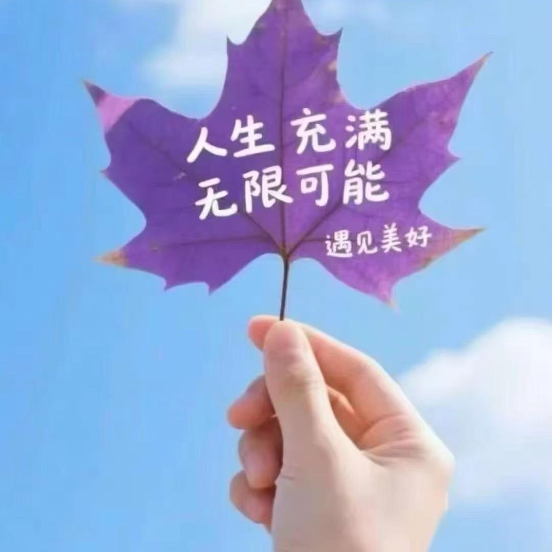 小高吖
