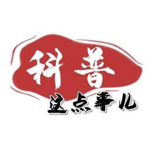 漯河市舞阳县哲茗赵百货店（个体工商户）
