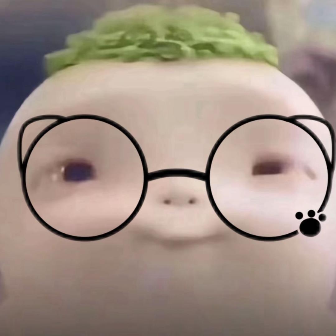 我不是仓鼠
