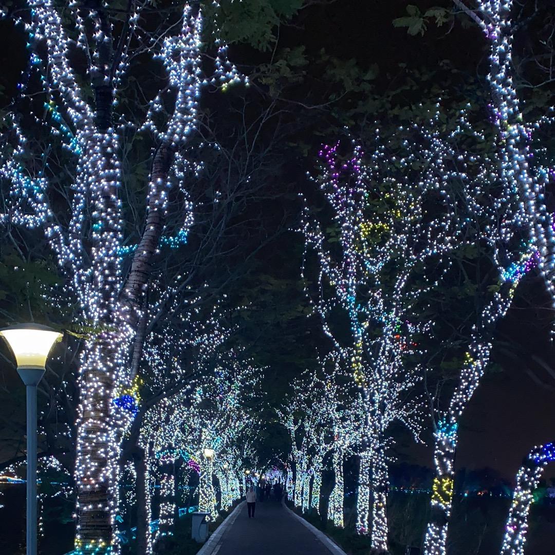 当爱已成往事🎉🎉