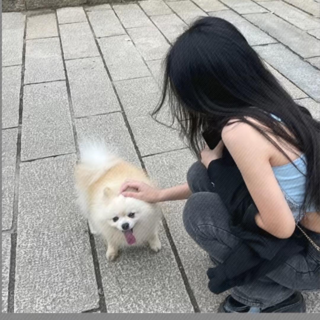 吹泡泡🫧
