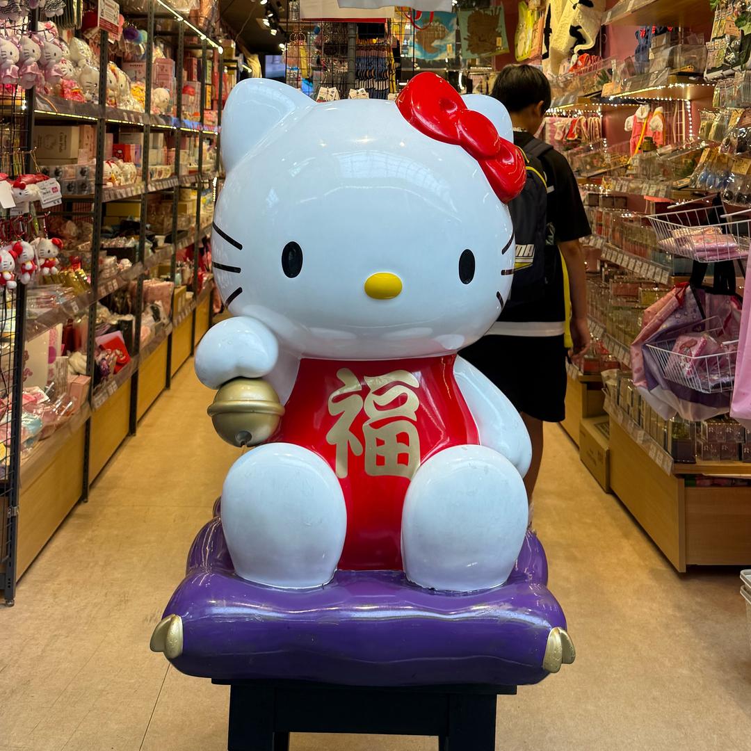 七月贝贝🎀