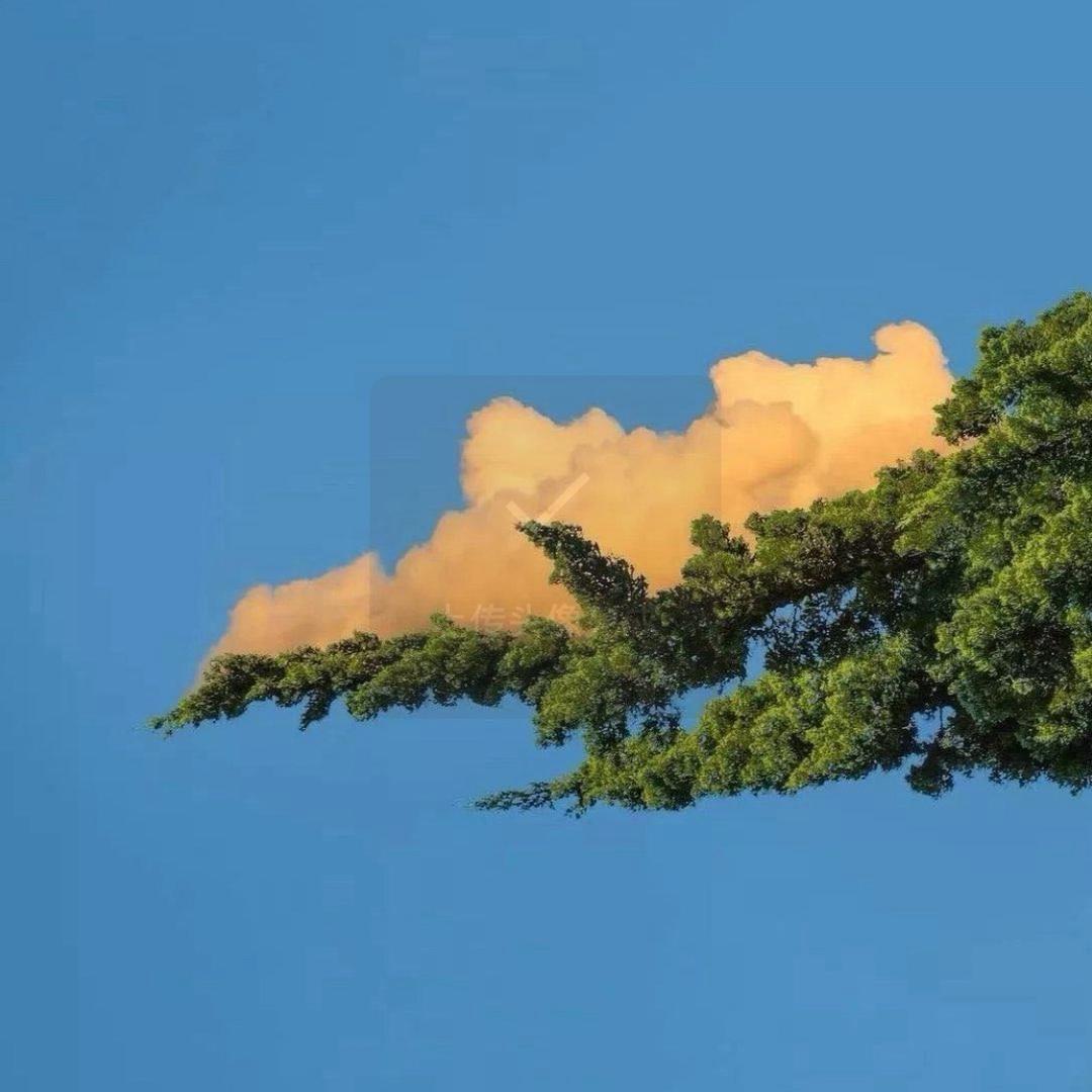 陈澈