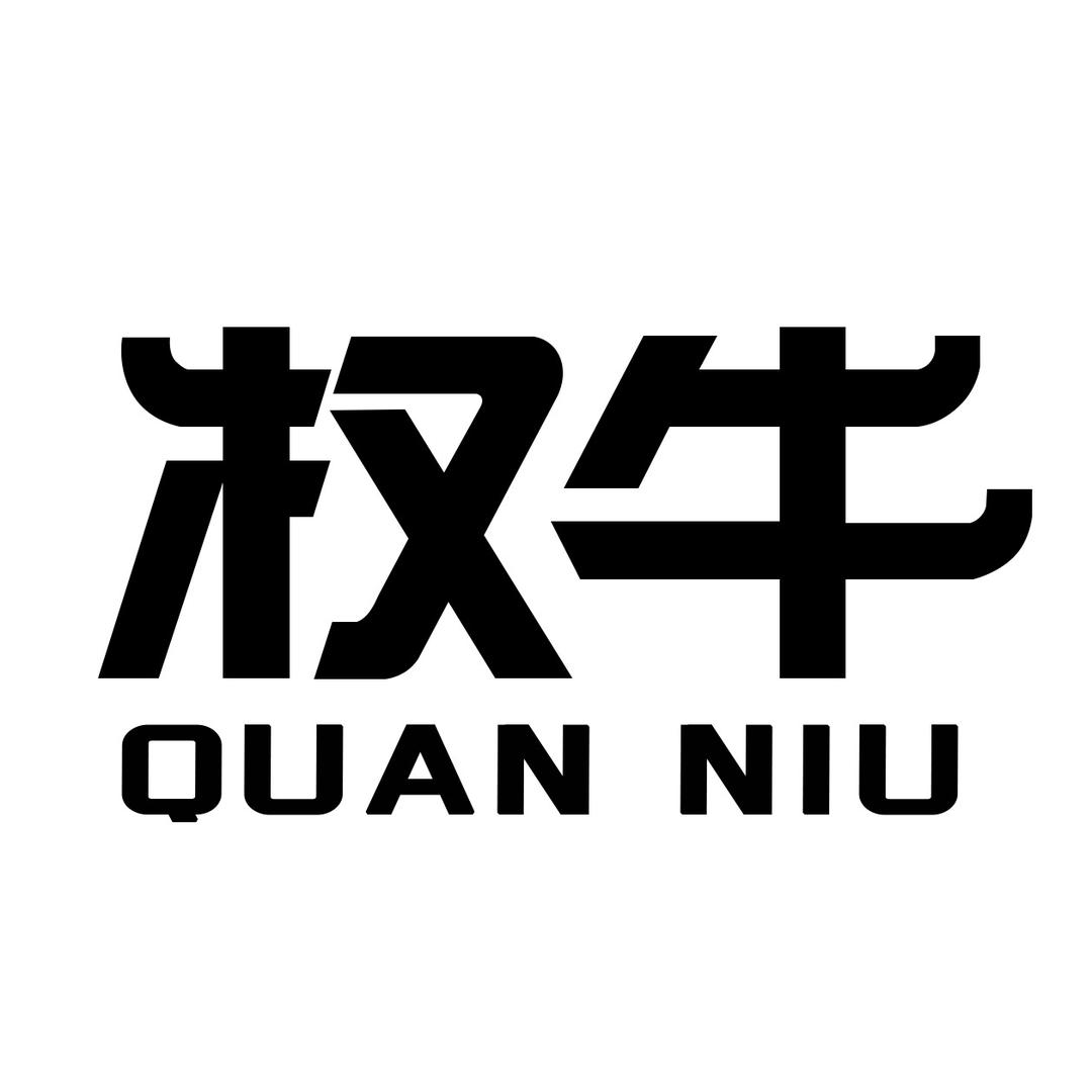 权牛驻车锂电池