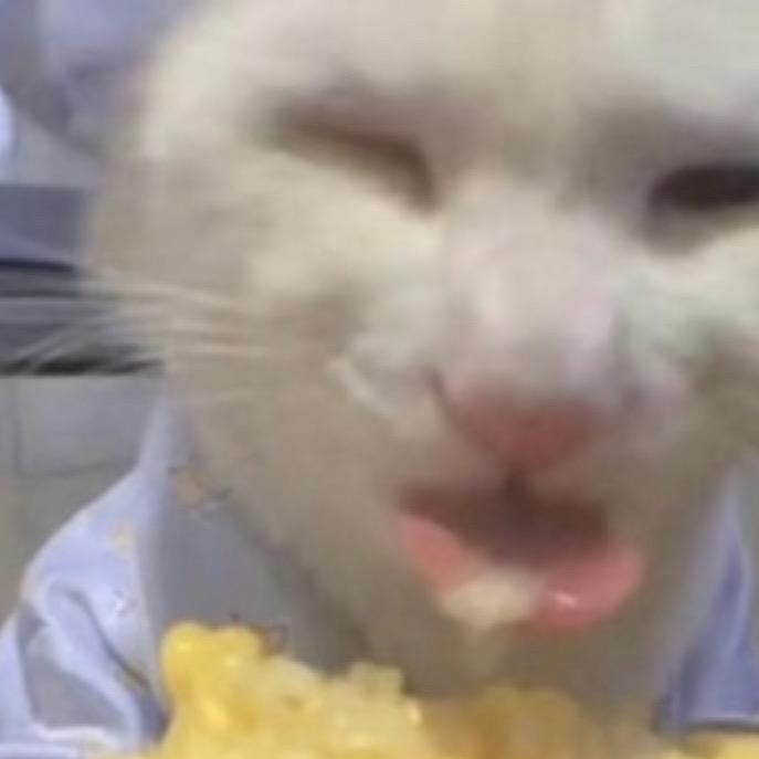 等伱ゞ┈裞àì蛾ぃ（狠んúаī淰鐹詓