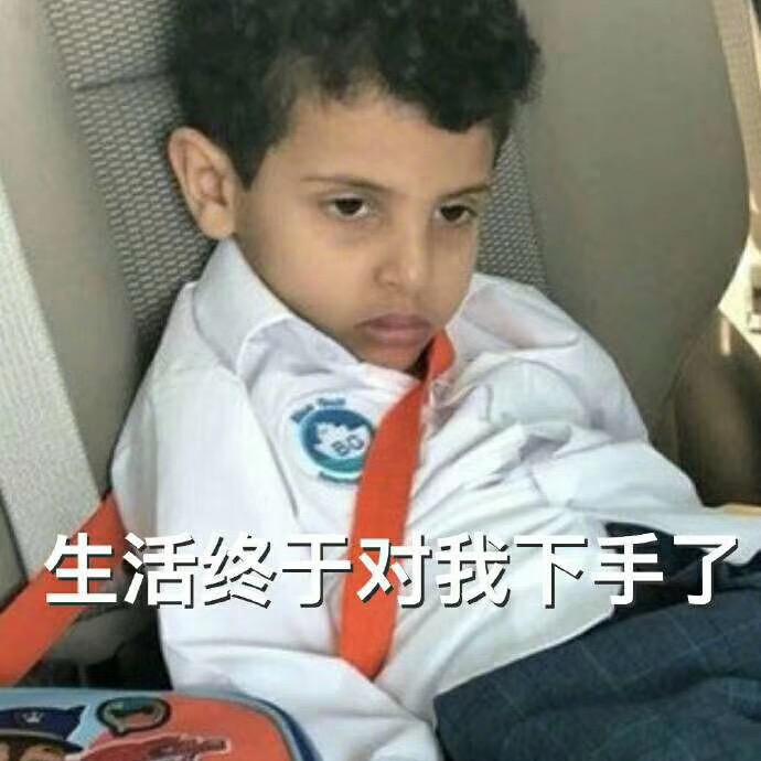 小陈哥【陈皮】