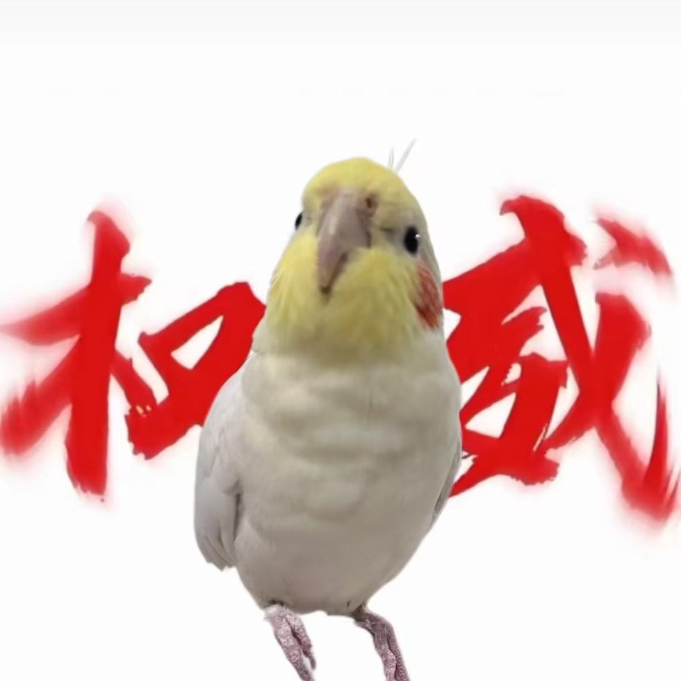 鹦鹉放飞笼鸽子笼孔雀笼大型笼具