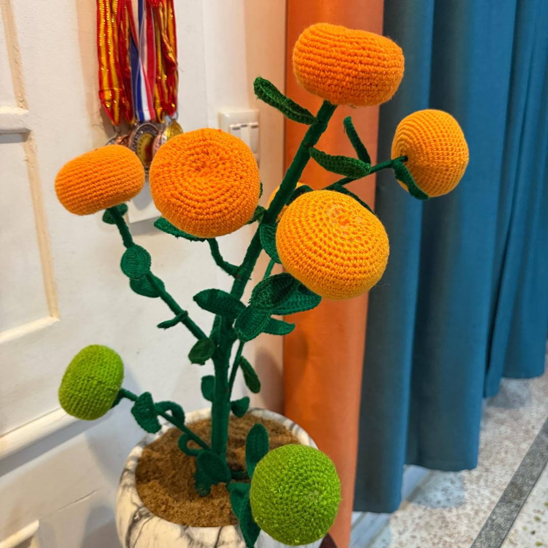 曾氏《武科后人》贵人