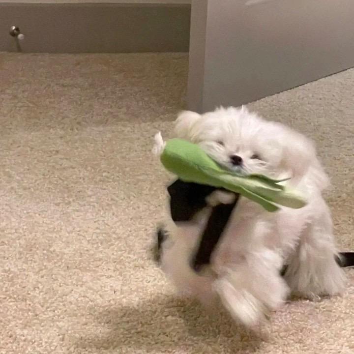 咸鸭蛋
