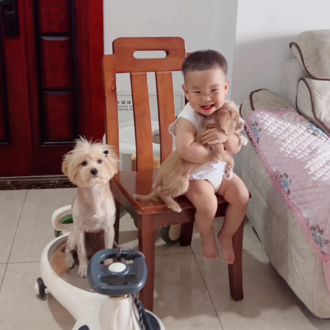 小布丁,小小,小福宝!