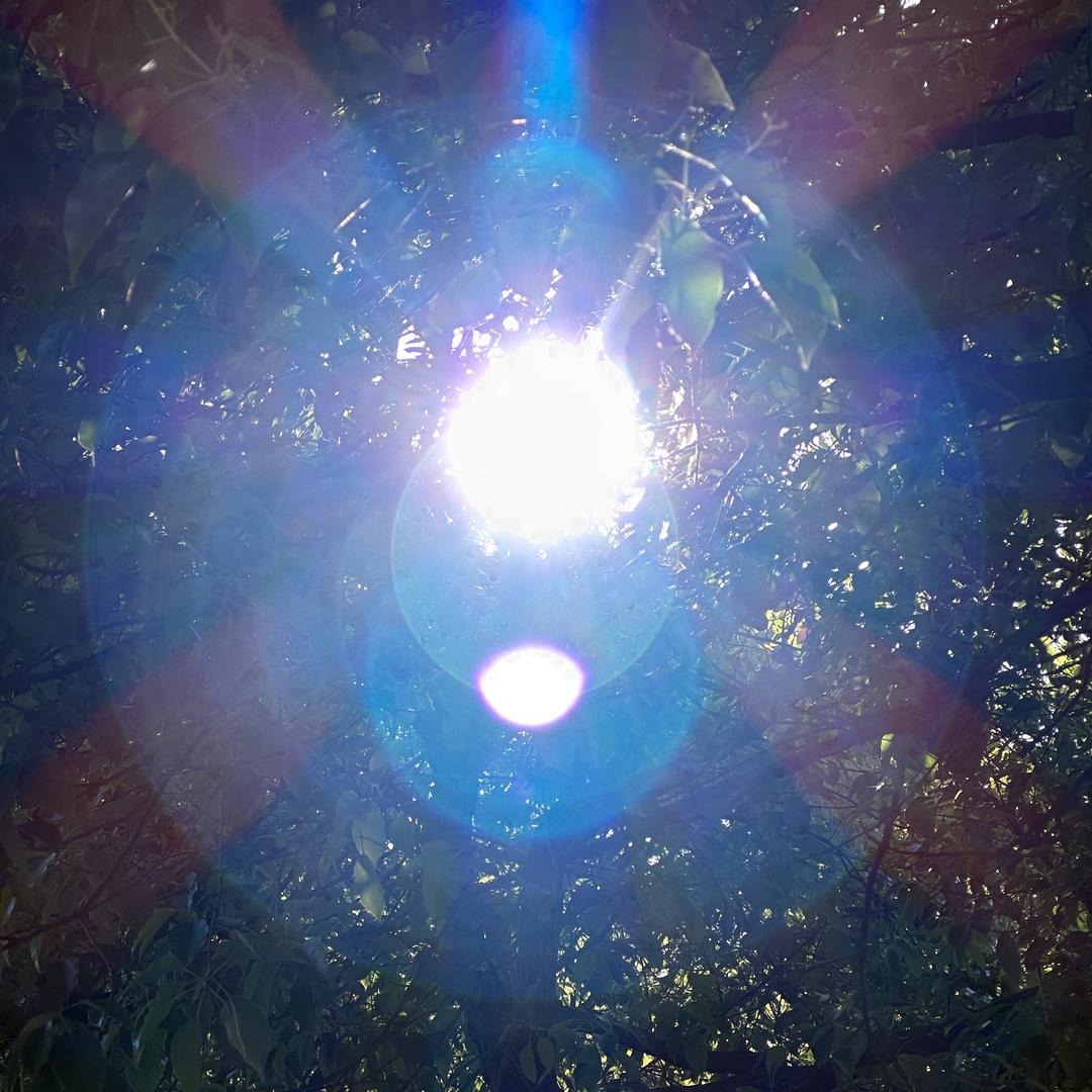Sunshine_（国庆折扣中）