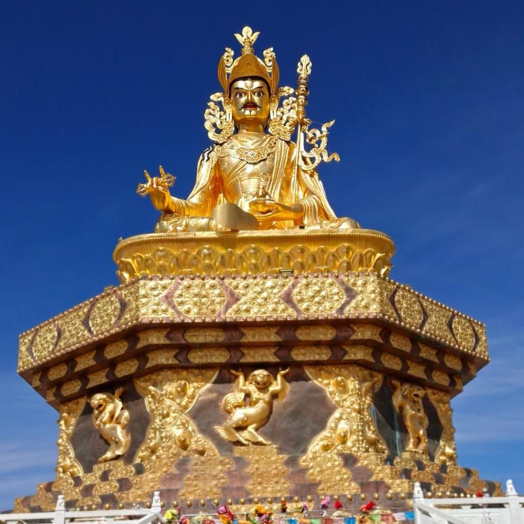 白.日，求松才仁