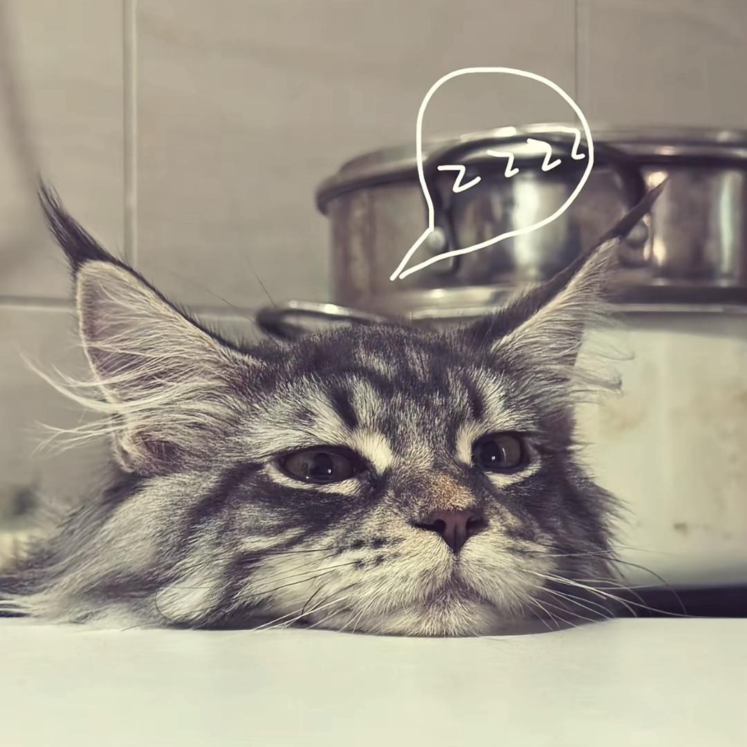 陆楠Vinna.