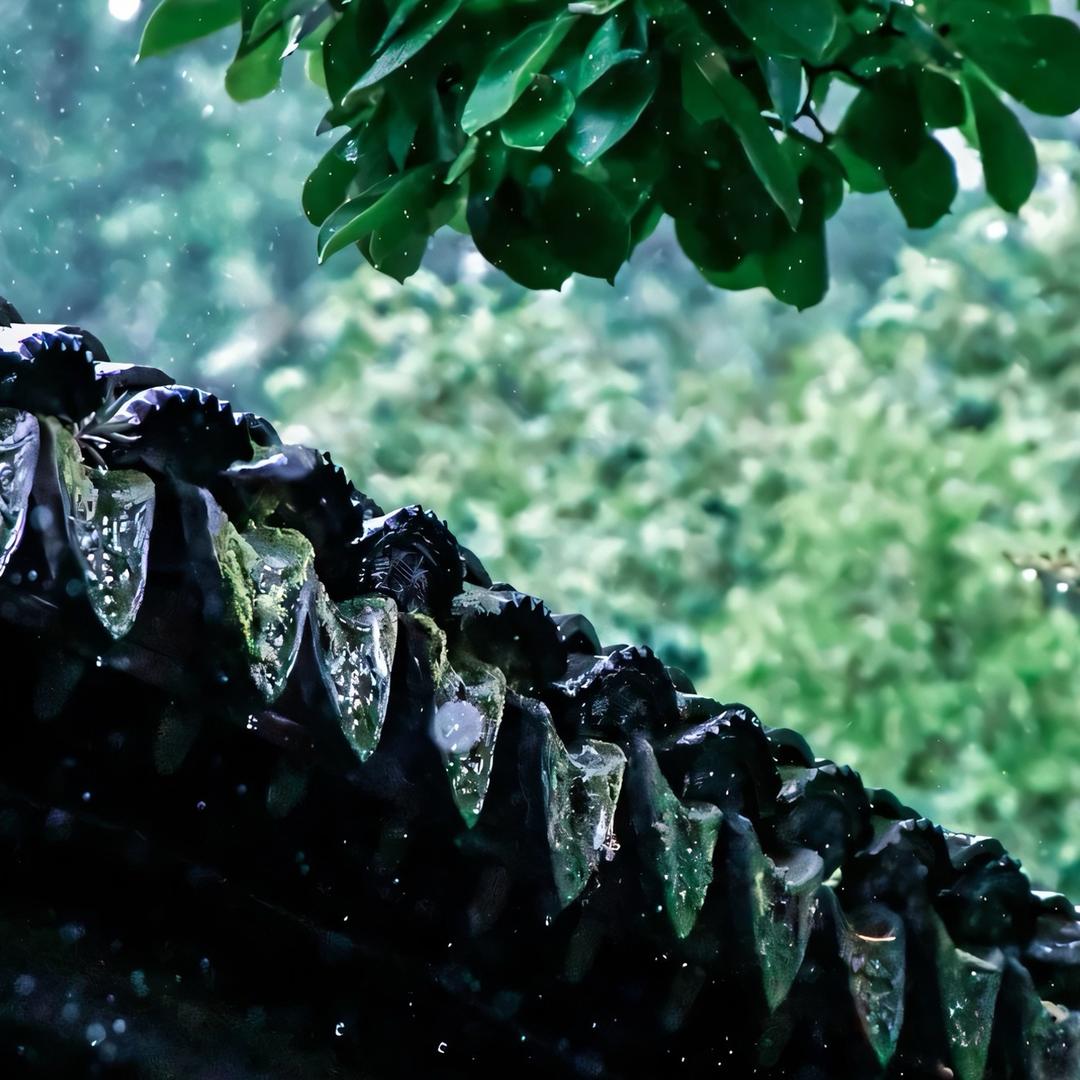 聴雨