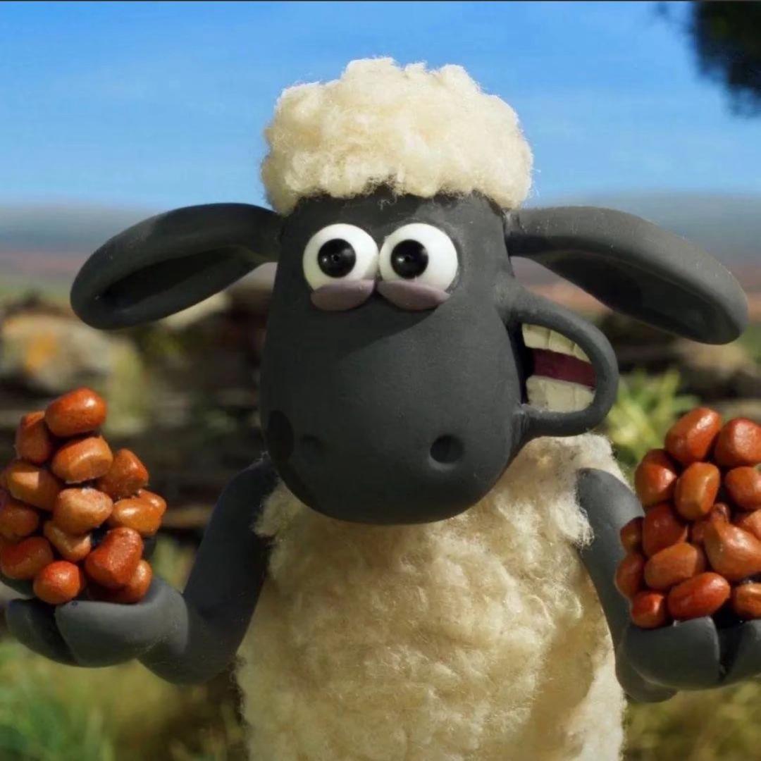 肖羊（三角洲行动）