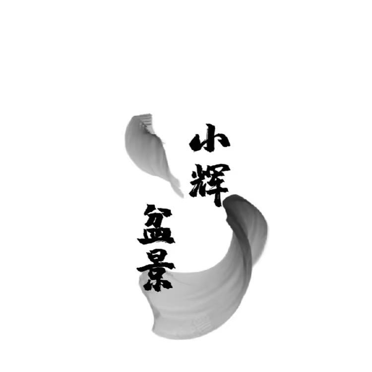 小辉盆景