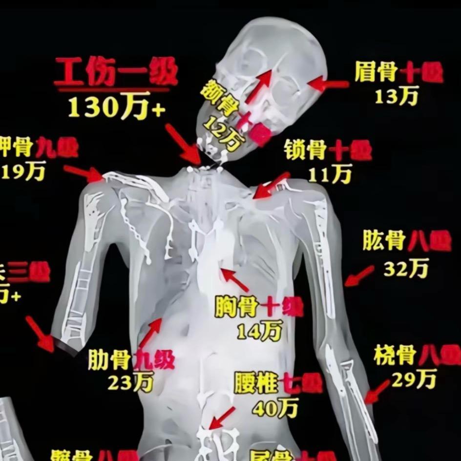 西风瘦龙🐉