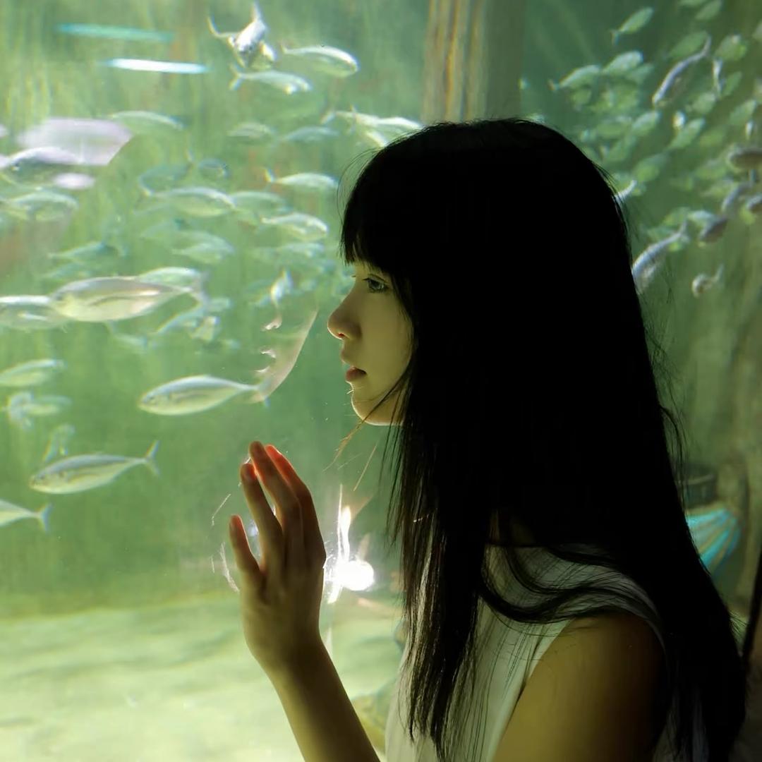 瘦不到95就回家打老公