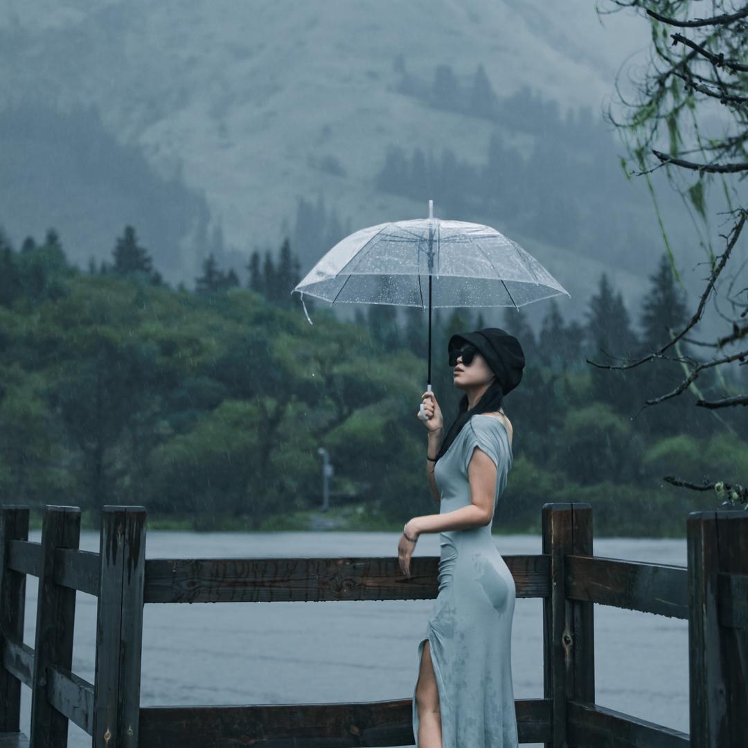 我不是沈书