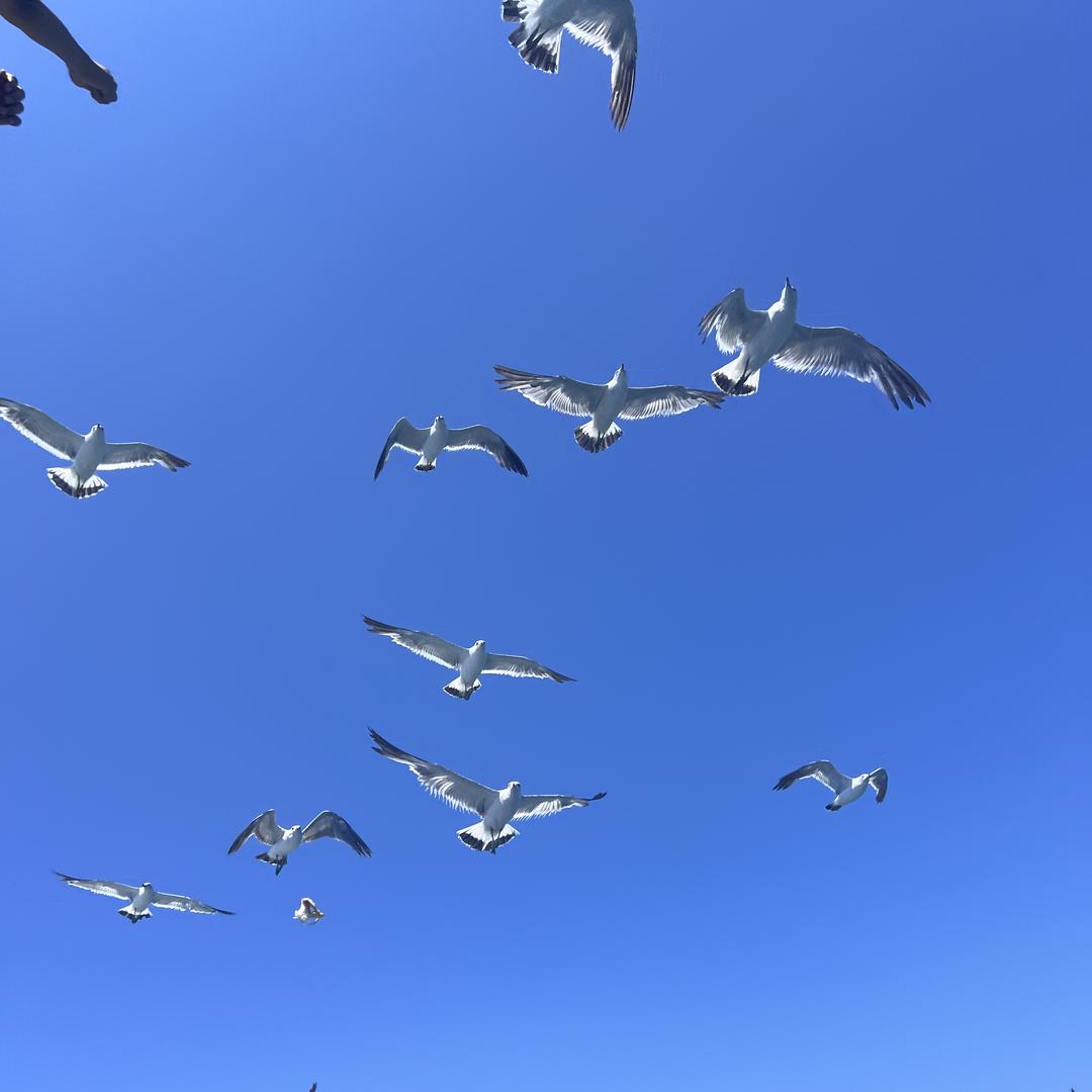 安莉吖百货创意屋