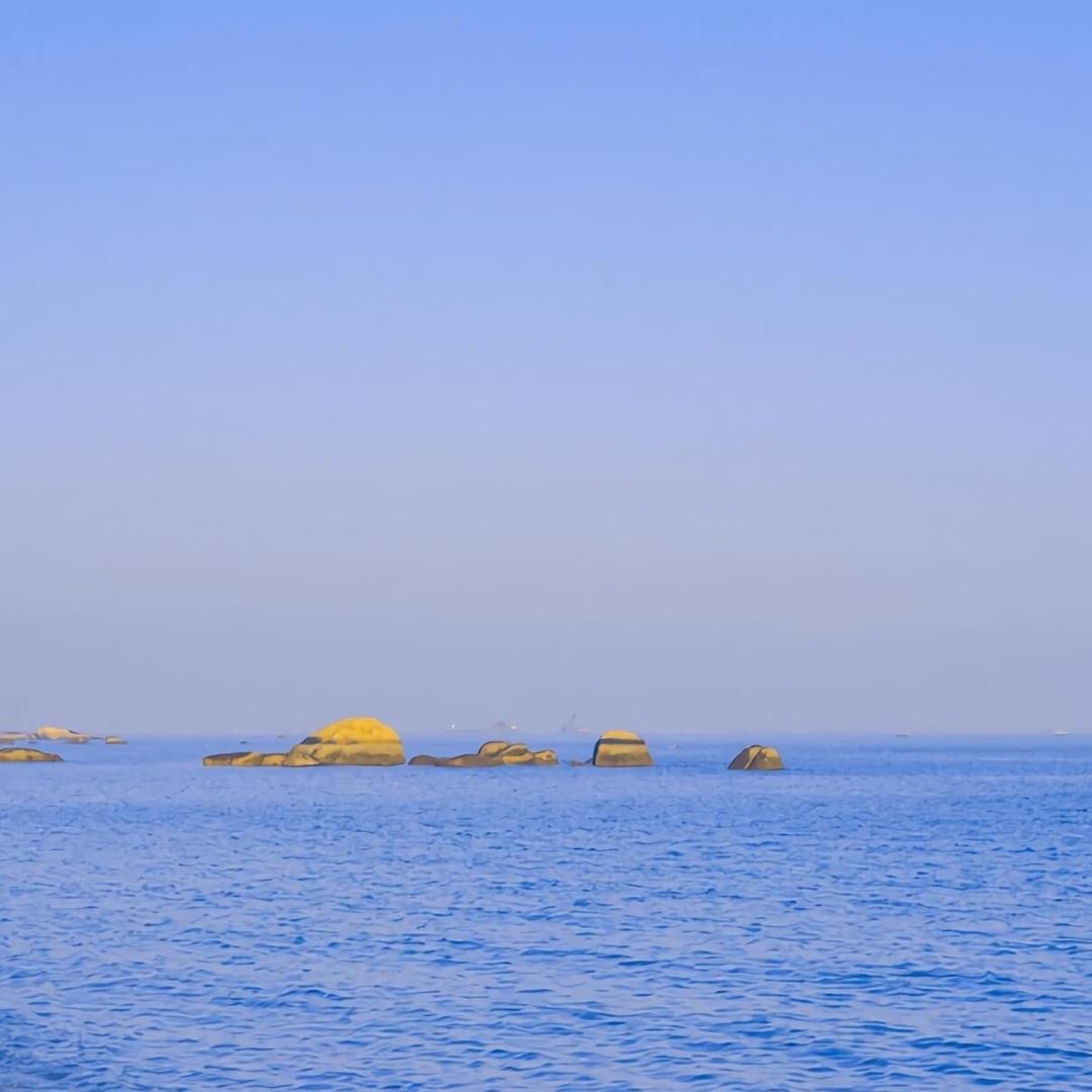 小芝杨善兰(哭灵)