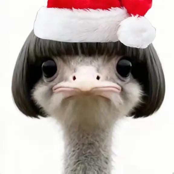 啸天犬大战复仇者联盟美国寡妇