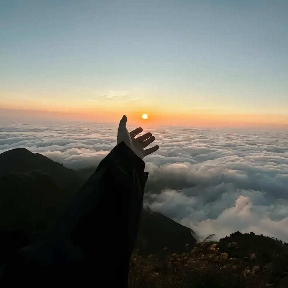 柒壹曦