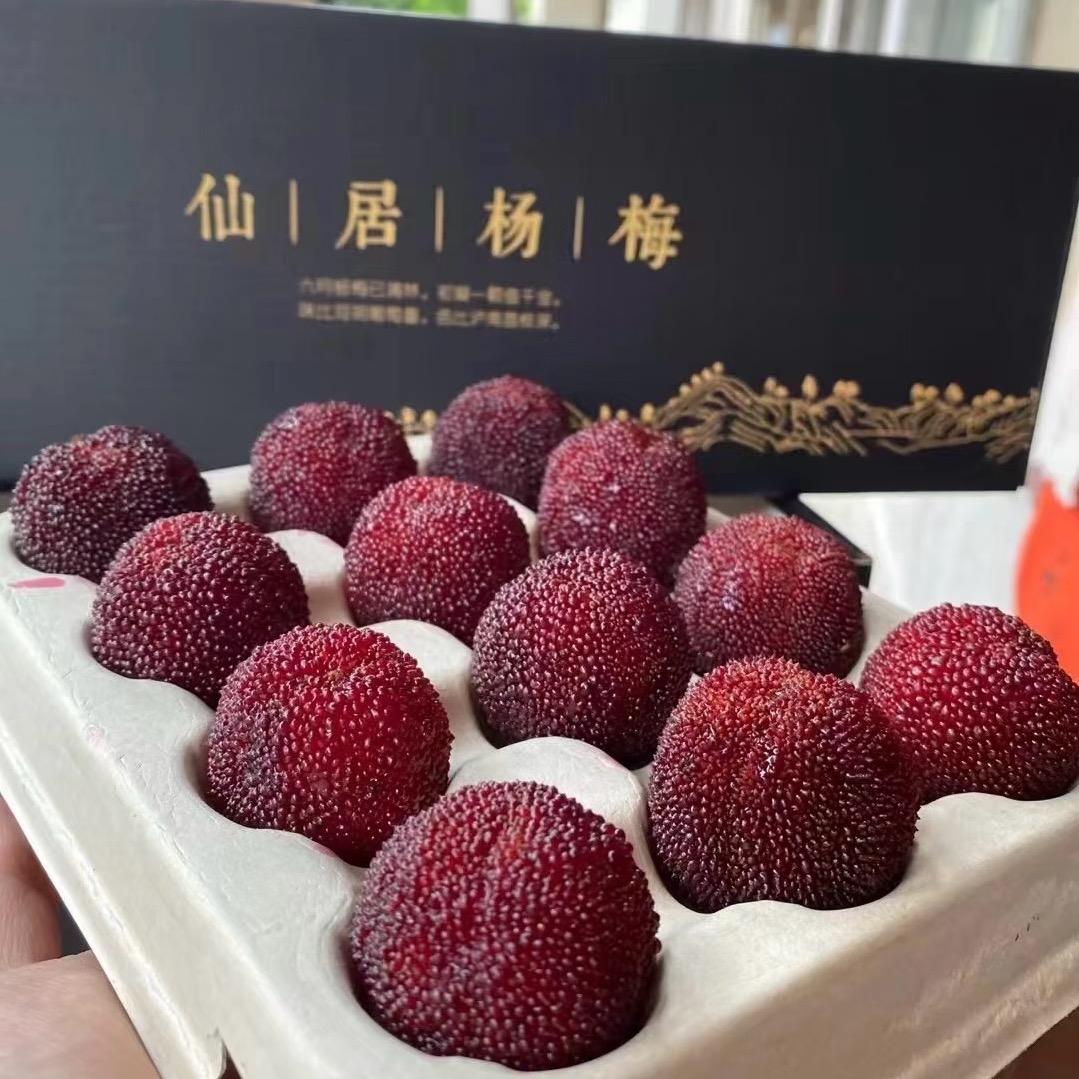 仙居东魁杨梅果王