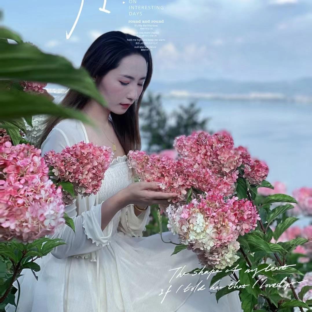 金金与花