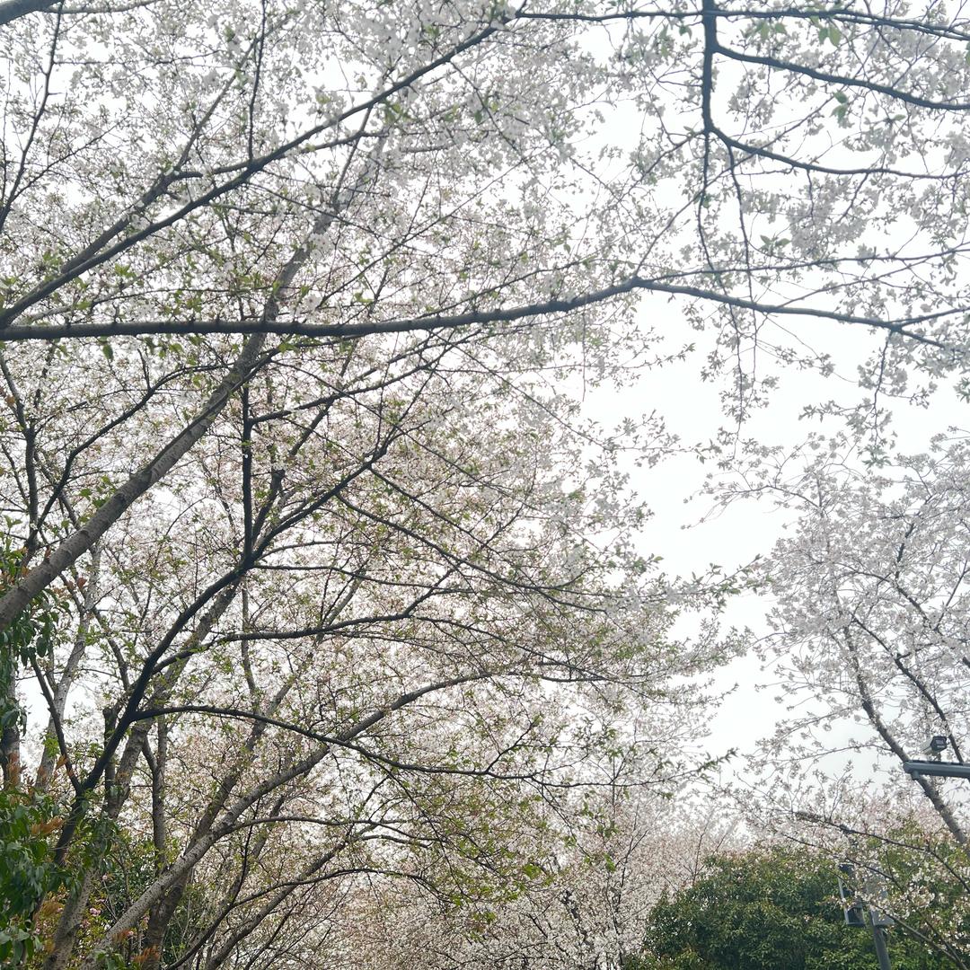 拍的内外科看