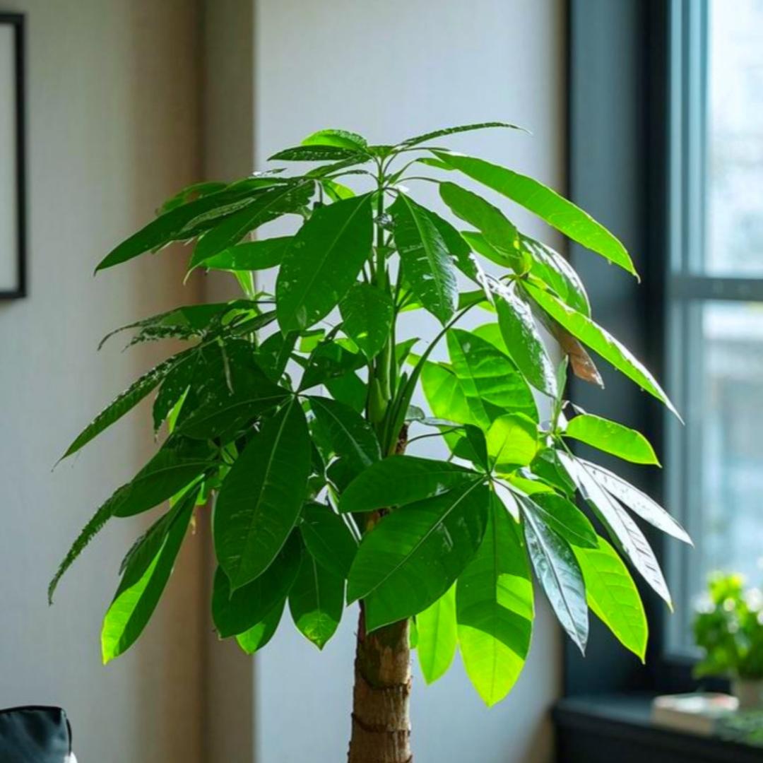 🌿幸福有你🌿