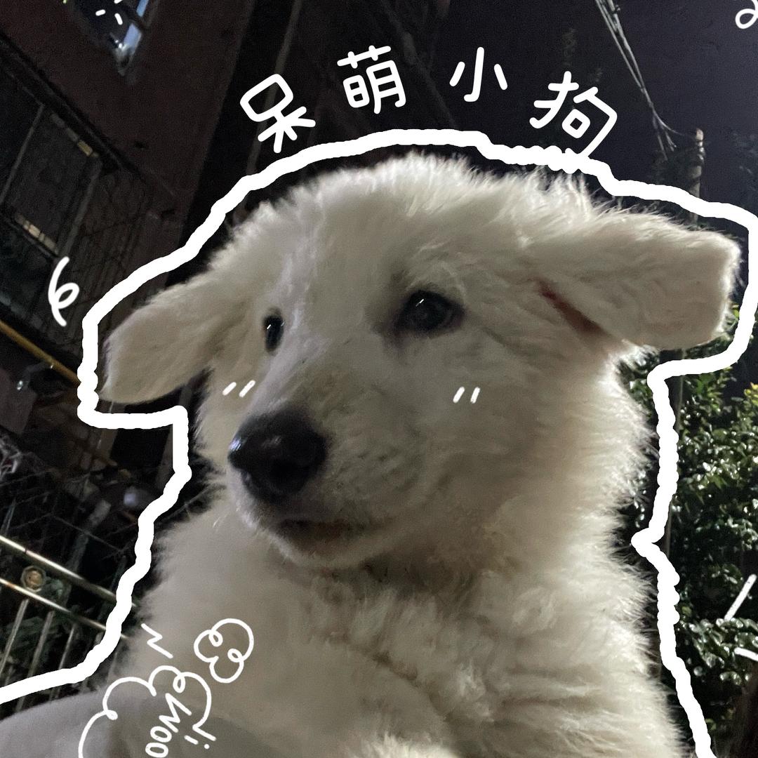 十八和九儿🌱