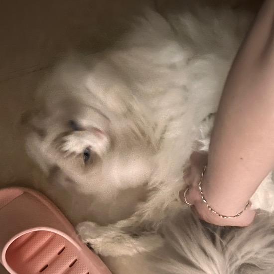 臭点点