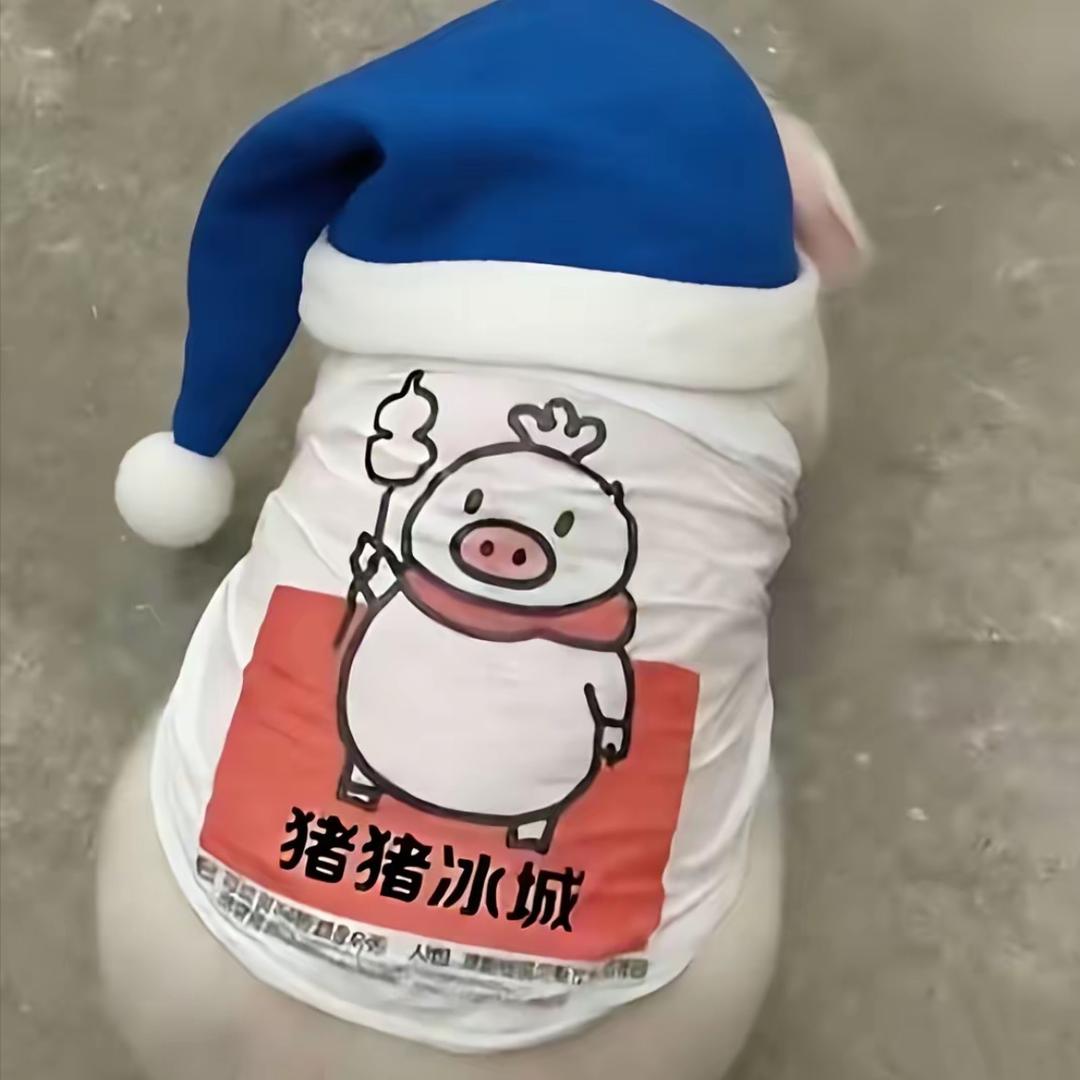 诺娃