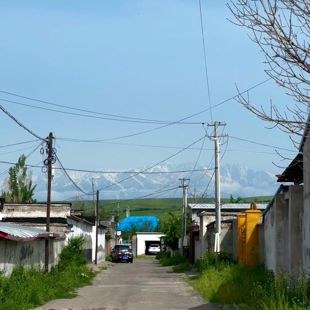 西域魂