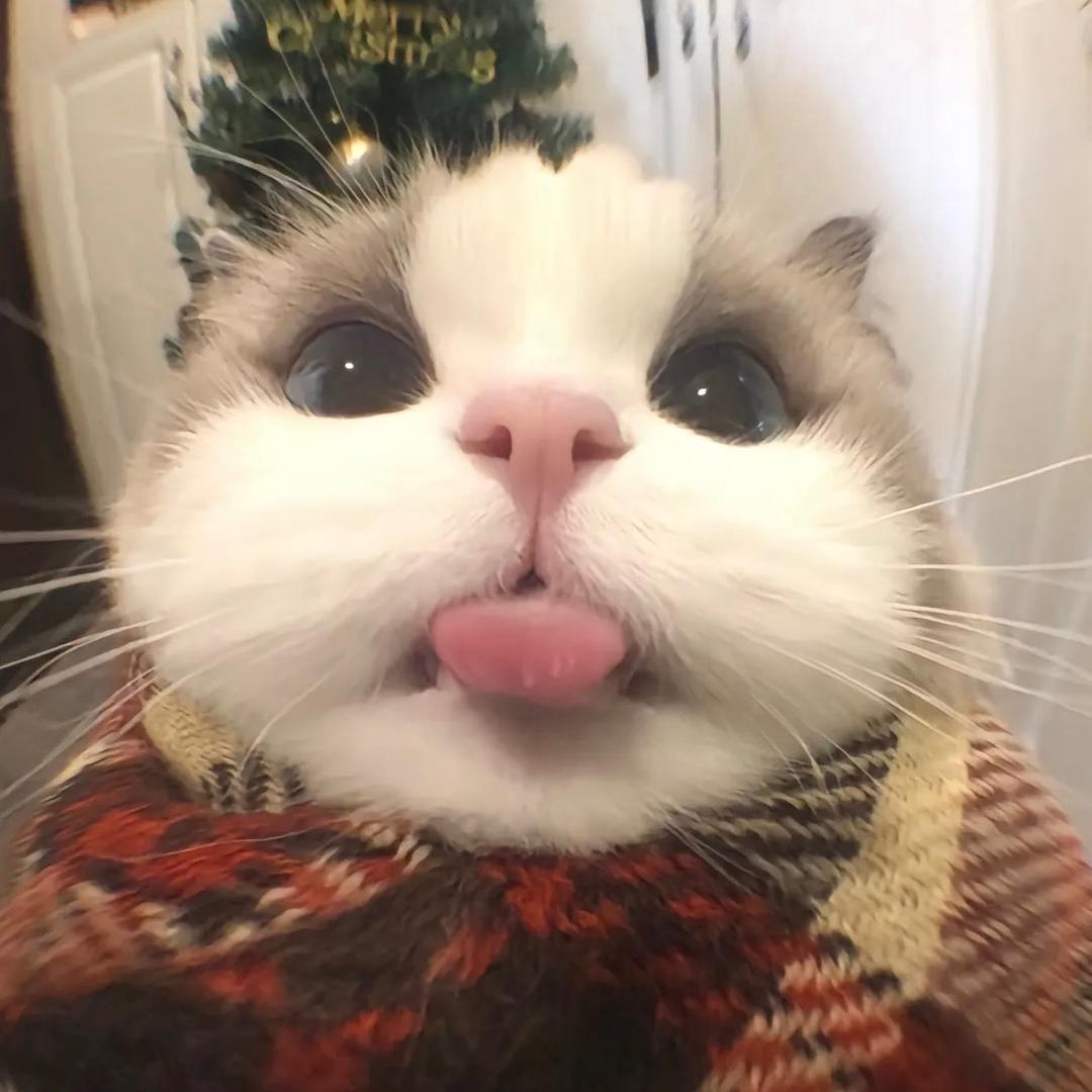 🌈🌈🌈🌈🌈十呀～