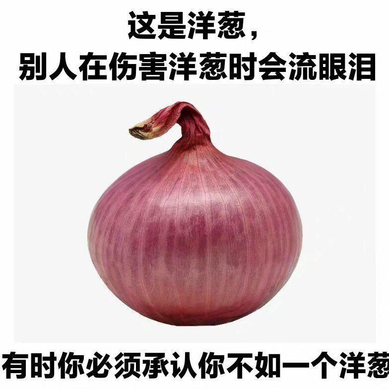 家有三只