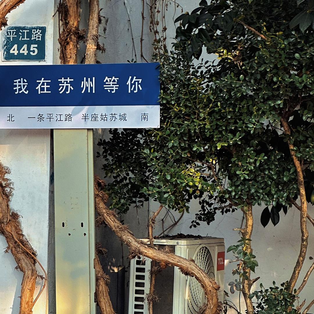 蓝桉鸟