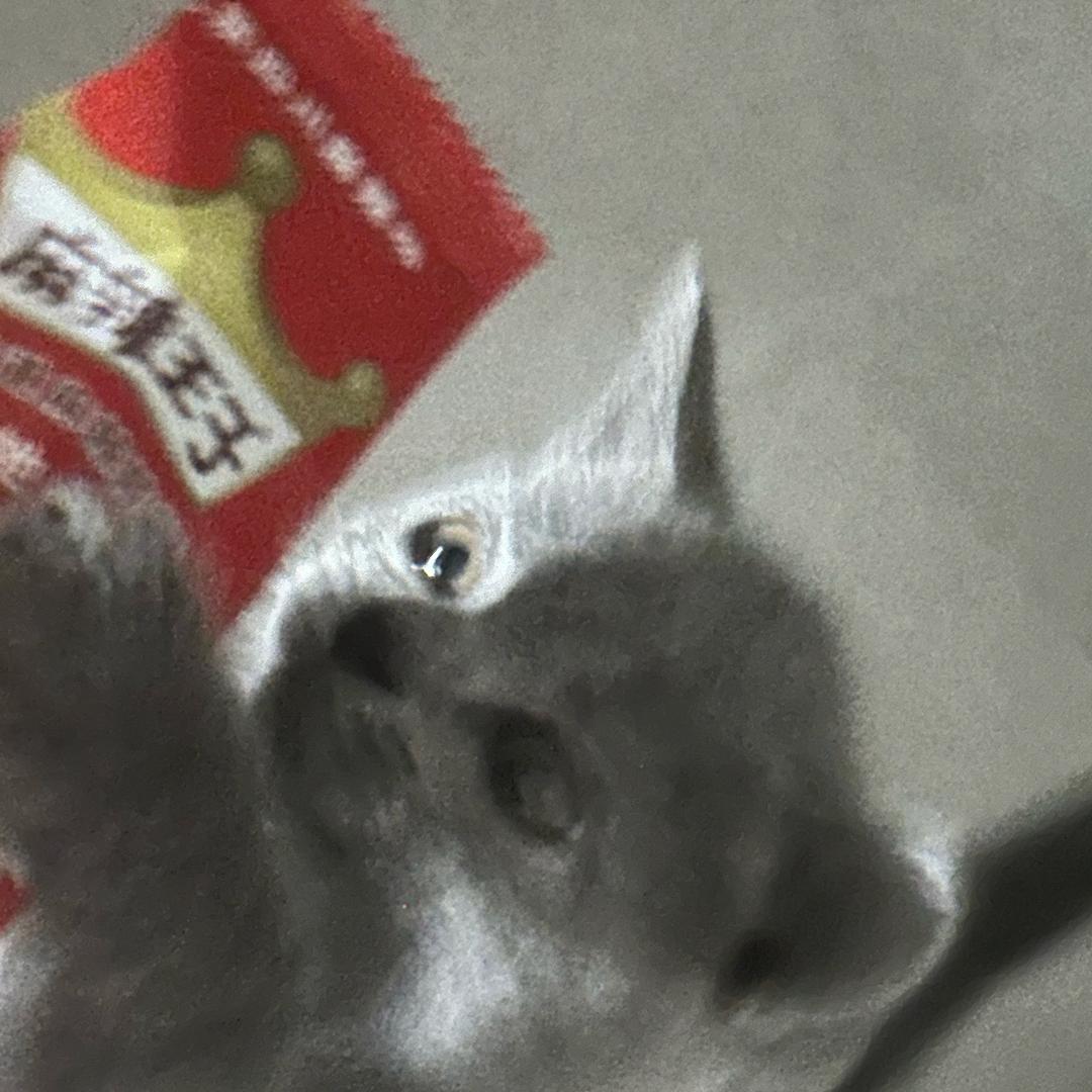 糯米悠米生活日记📸