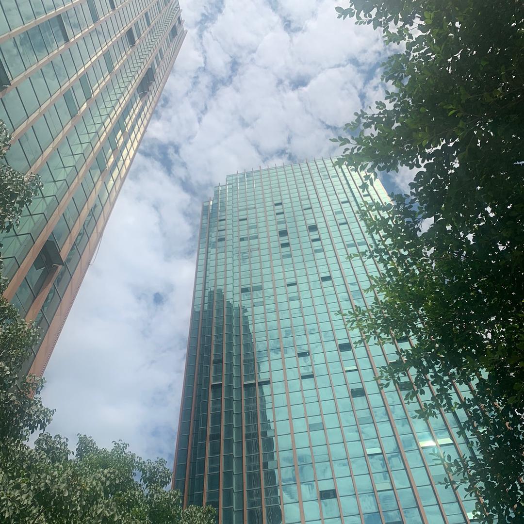 陈总来了🌟🌟🌟
