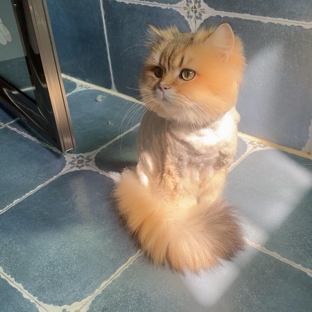 辰溪县机不可失手机维修中心