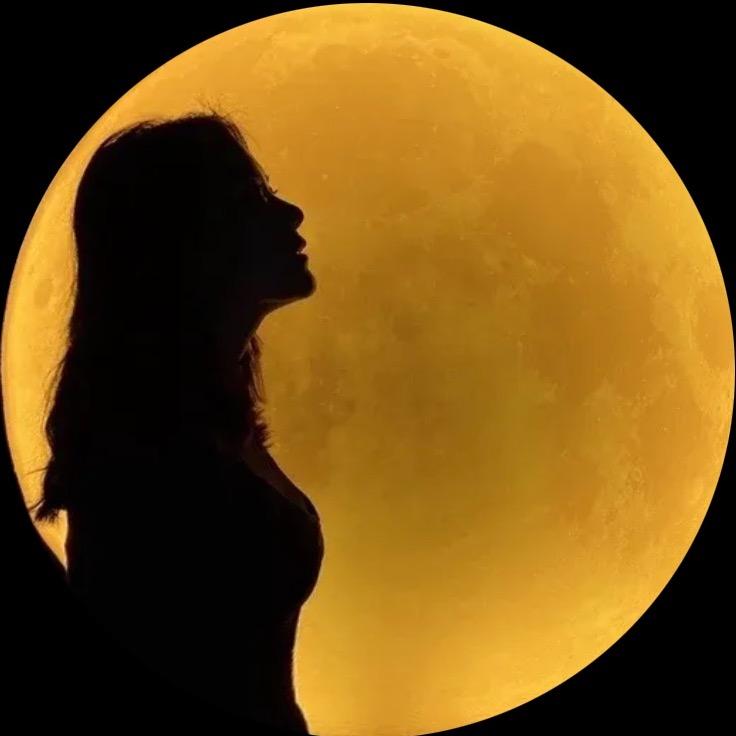 流浪艺人🧚‍♀️