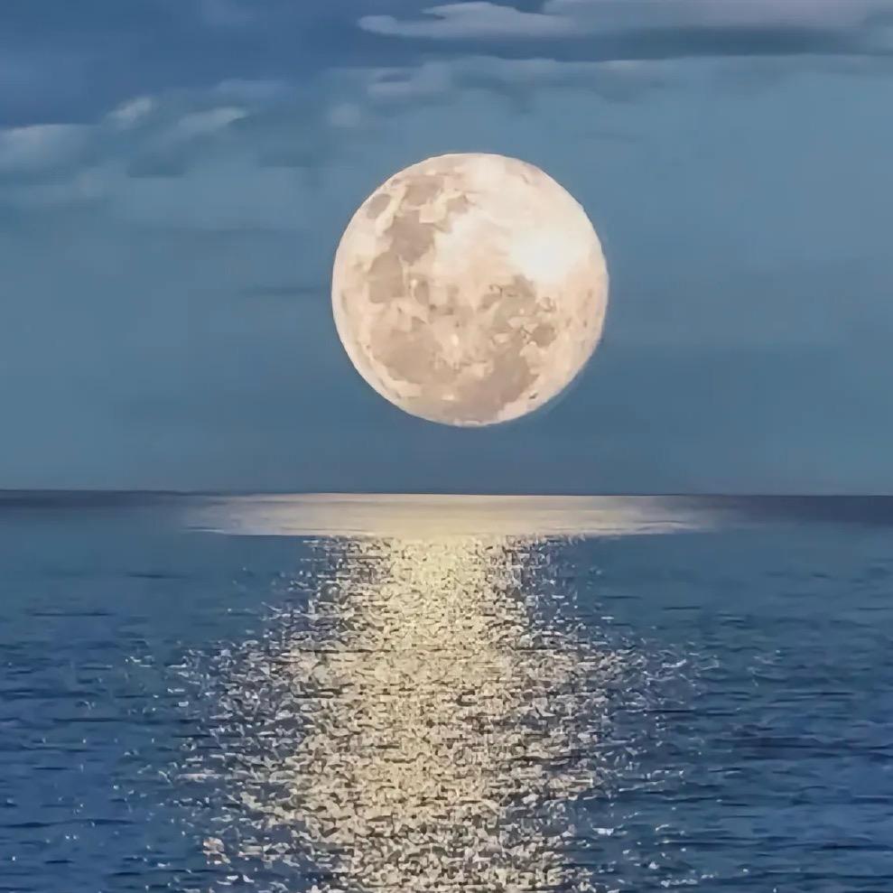 福  宝